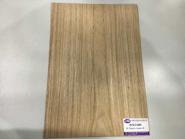 EV紫玫瑰9C