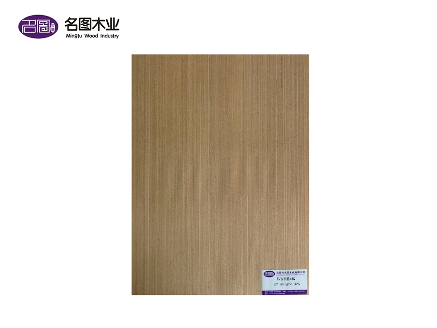 EV安利格48Q