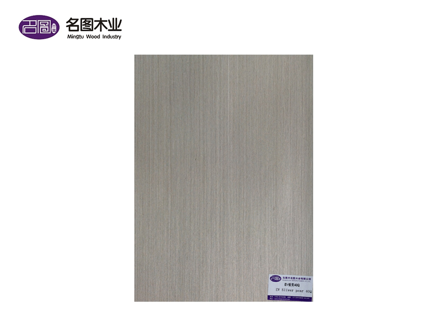 EV银梨40Q