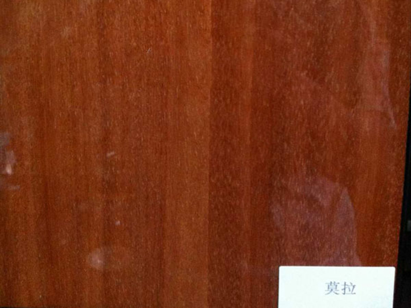 莫拉木木皮