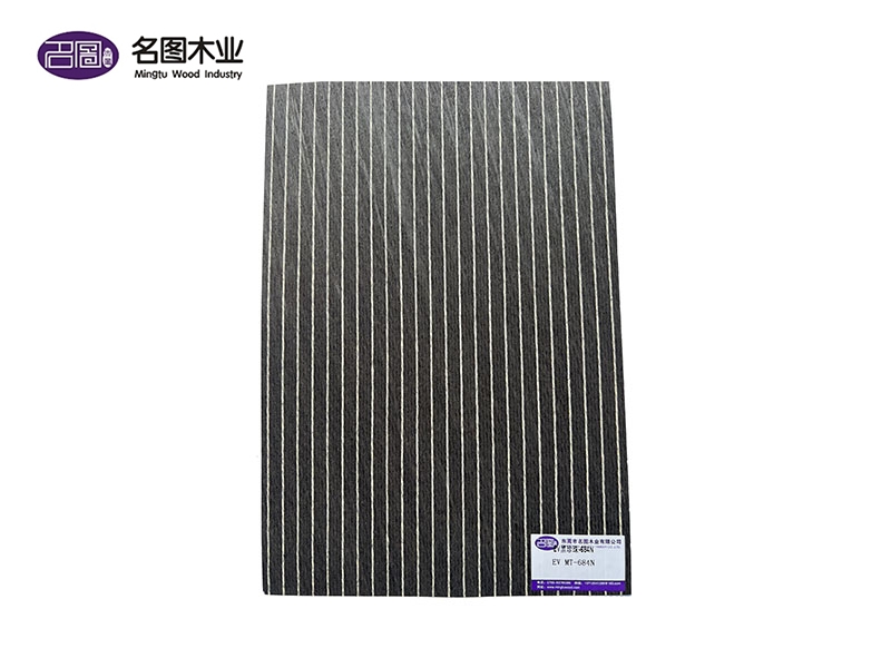 EV黑珍珠-684N