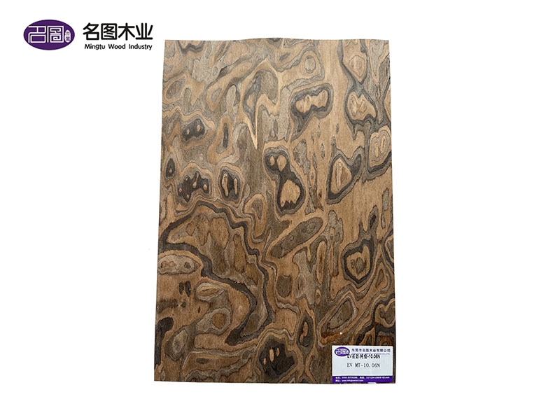 EV雀影树瘤-10....